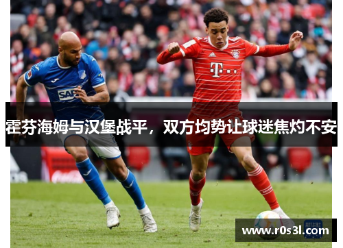 霍芬海姆与汉堡战平，双方均势让球迷焦灼不安